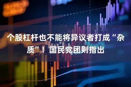 个股杠杆也不能将异议者打成“杂质”！国民党团则指出