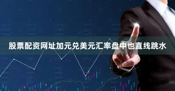 股票配资网址加元兑美元汇率盘中也直线跳水