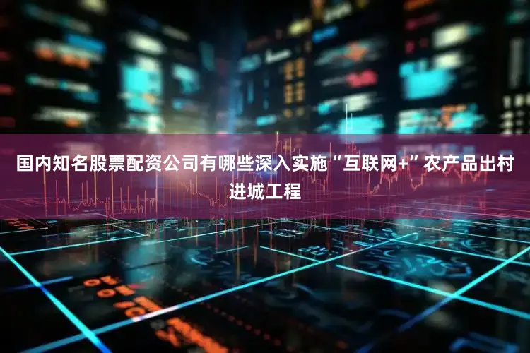国内知名股票配资公司有哪些深入实施“互联网+”农产品出村进城工程