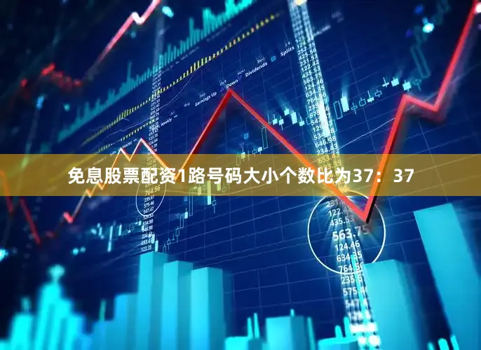 免息股票配资1路号码大小个数比为37：37